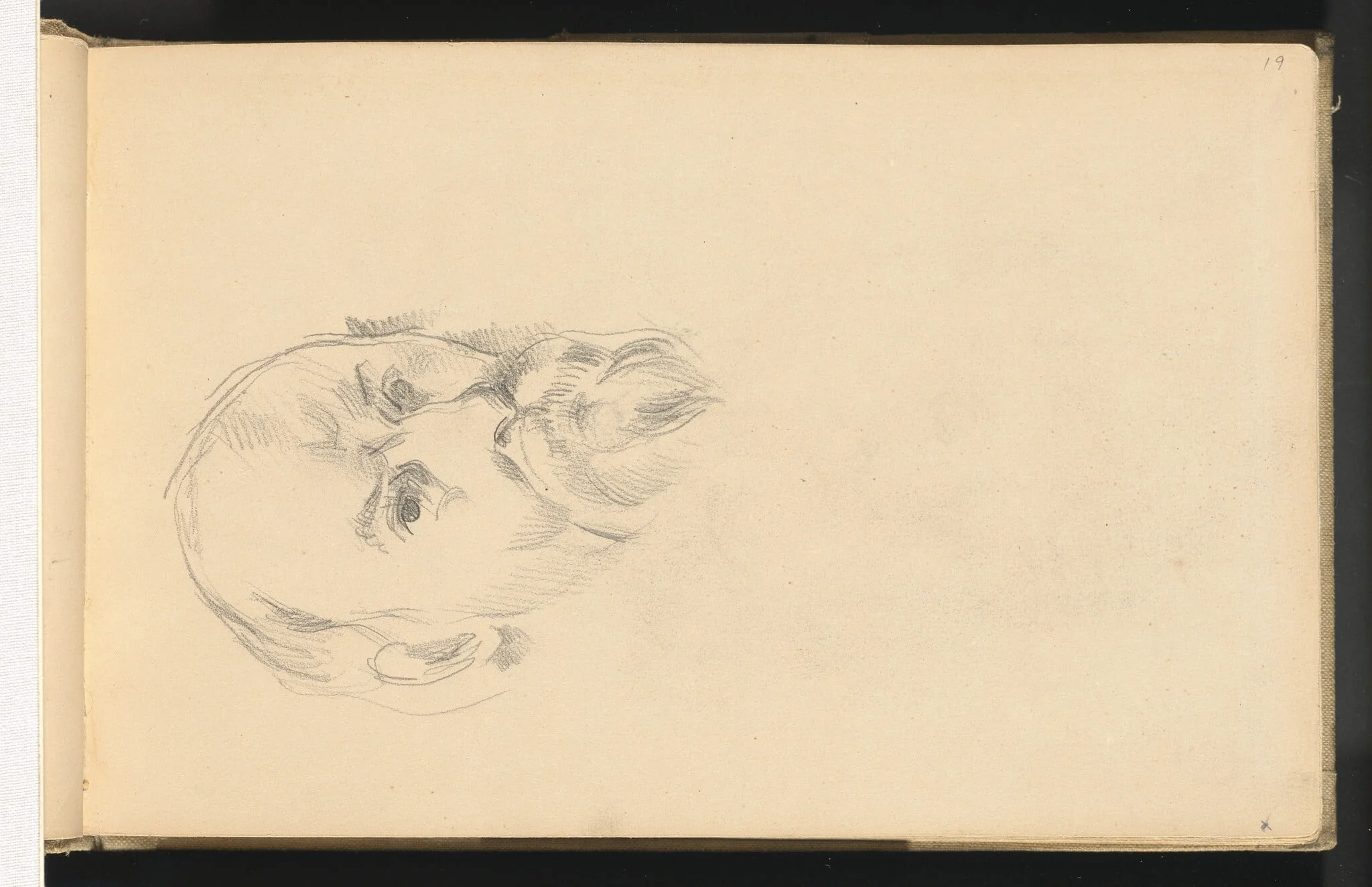 Self-Portrait, by Paul Cezanne, graphite, 1895