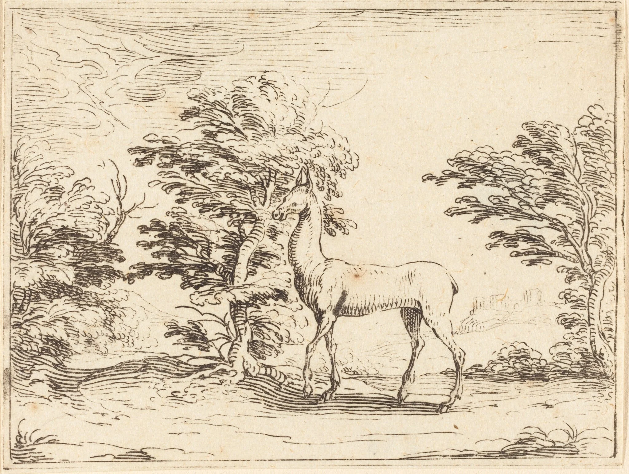 The Doe, by Jacques Callot, ink, 1628