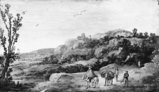 Hilly Landscape