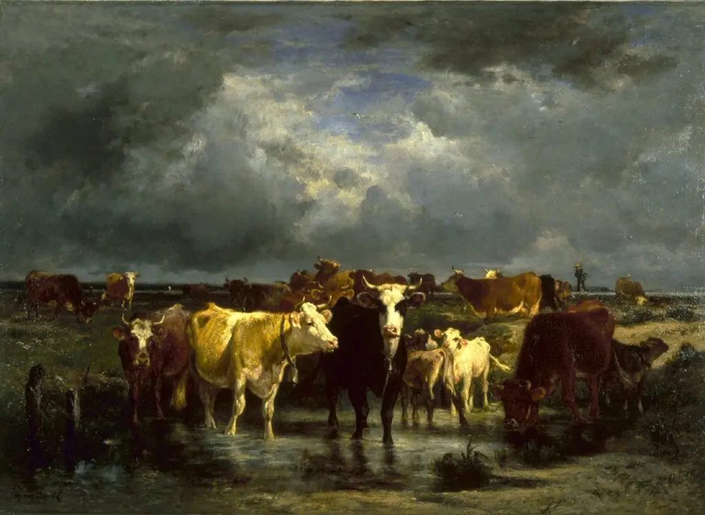 The Approach of a Storm