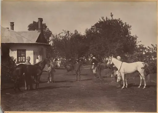 Lord William Beresford's horses
