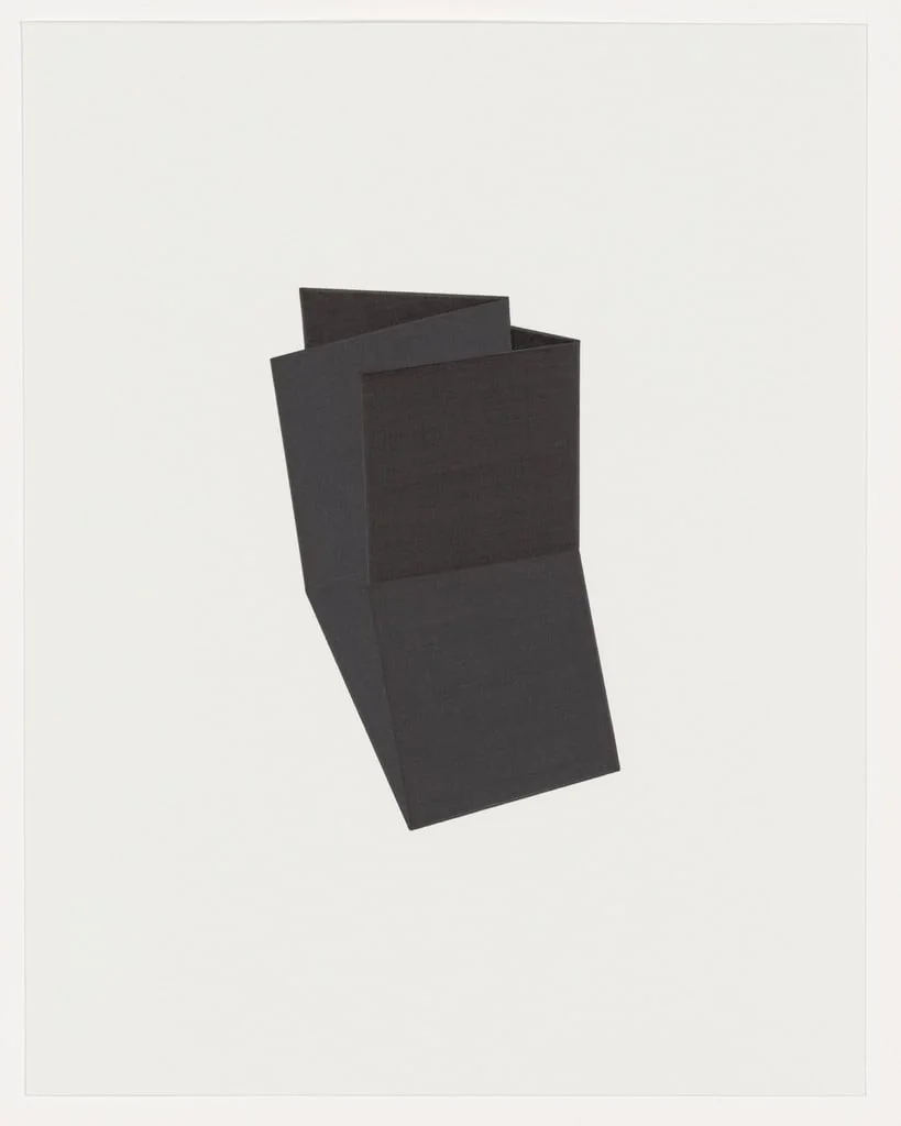 Untitled, by Iran do Espirito Santo, 2006