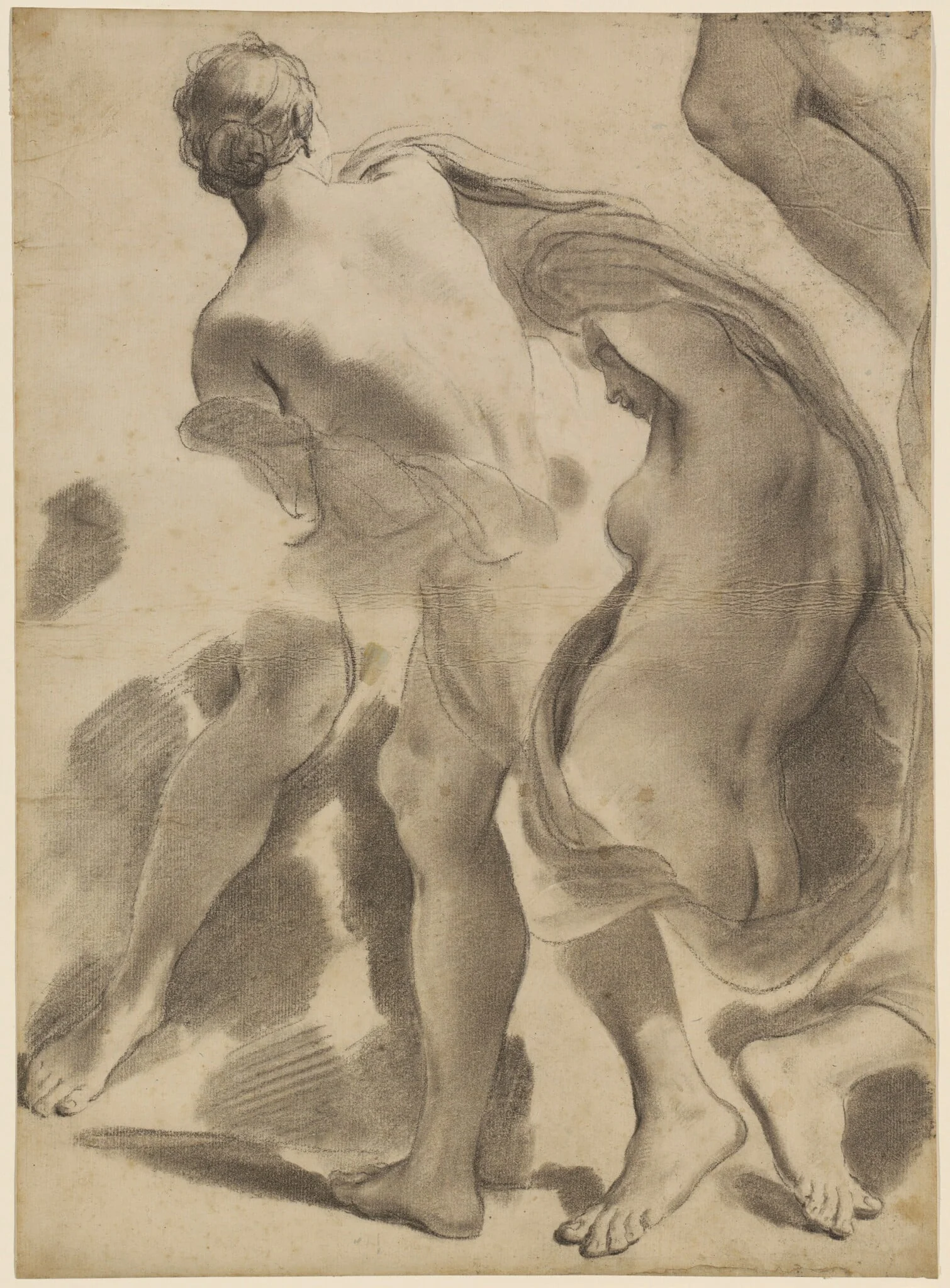 Studies of Female Nudes, by Gaetano Gandolfi, oil, 1788