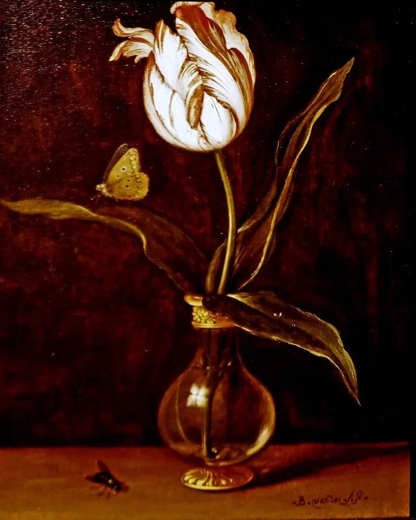 Vase with a single tulip