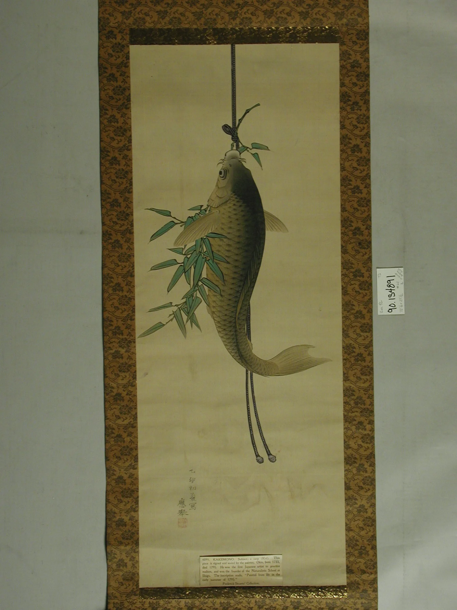 A Carp
