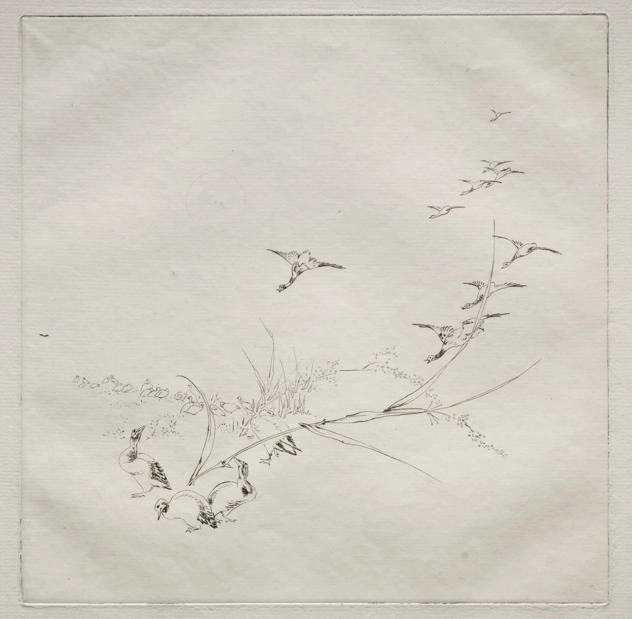 Parisian Service (Haviland service): Right in the sun (no. 9), by Félix Bracquemond, 1875
