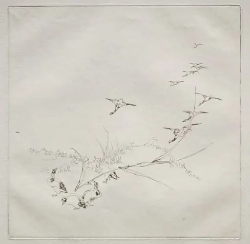 Parisian Service (Haviland service): Right in the sun (no. 9)