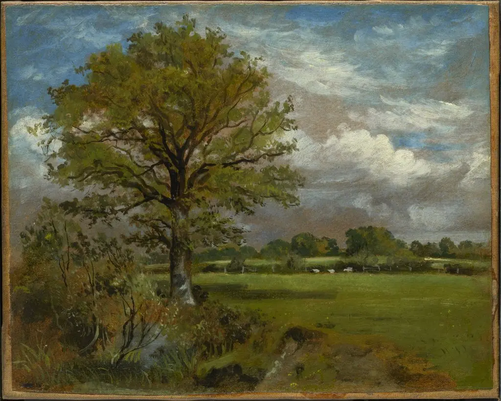 Tree in a Meadow