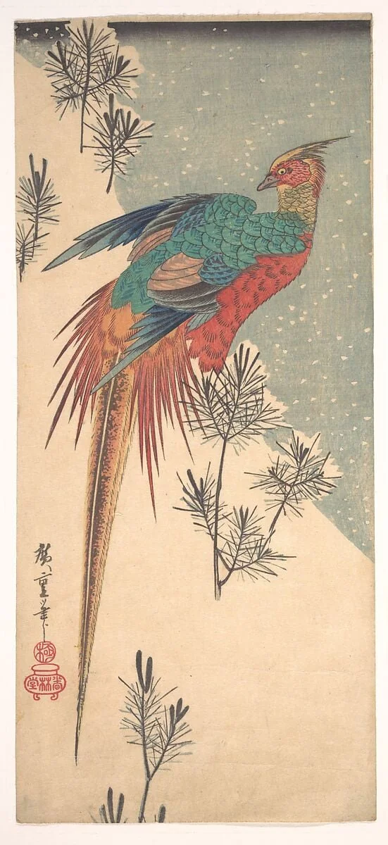 歌川広重画　雪中小松に錦雉|Golden Pheasant and Pine Shoots in Snow, by Utagawa Hiroshige, ink, 1835