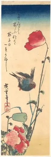 歌川広重画　芥子に瑠璃鳥|A Bluebird and Poppies