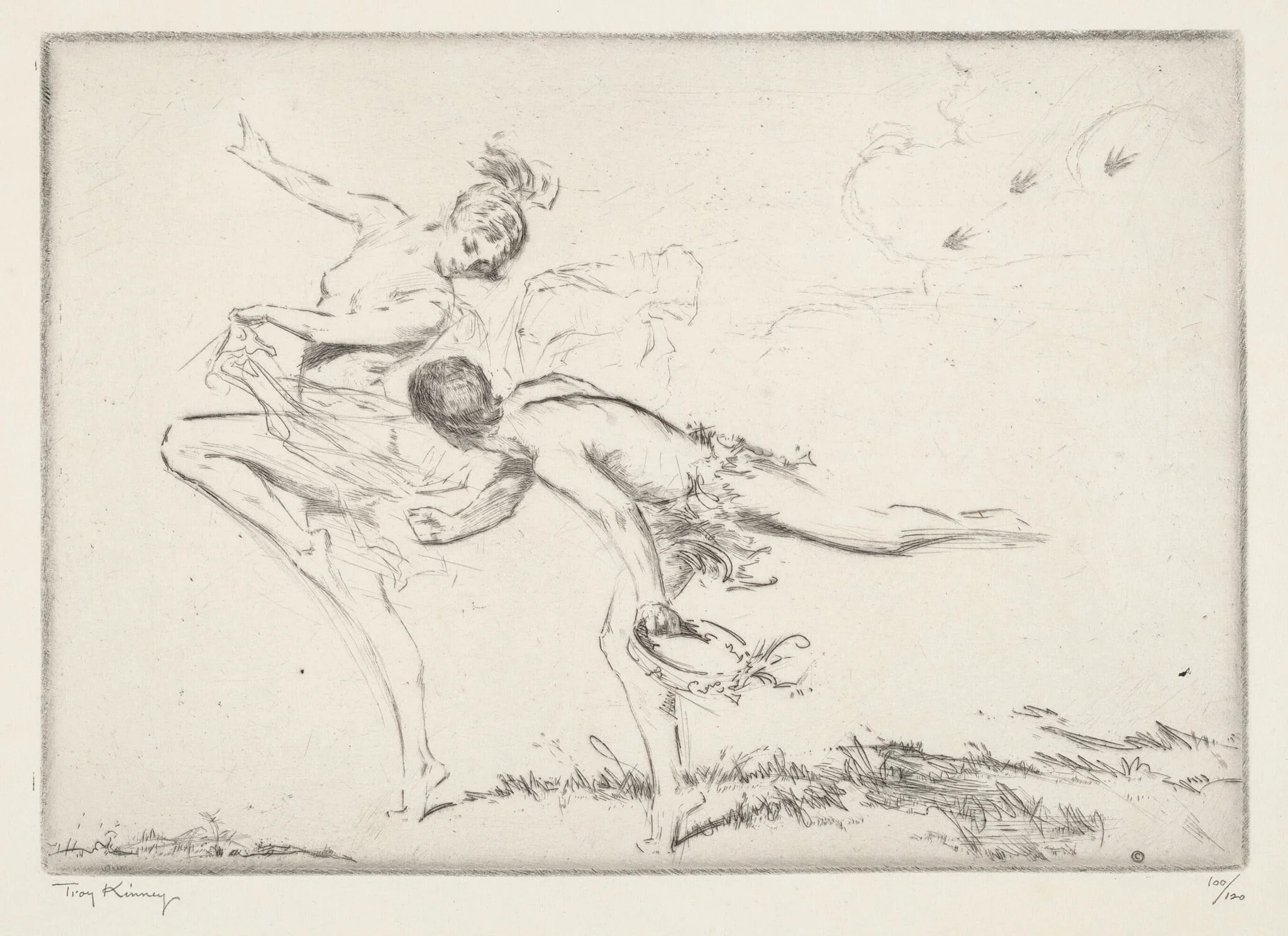 Swallows