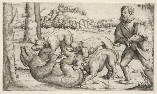 A Bear Hunt