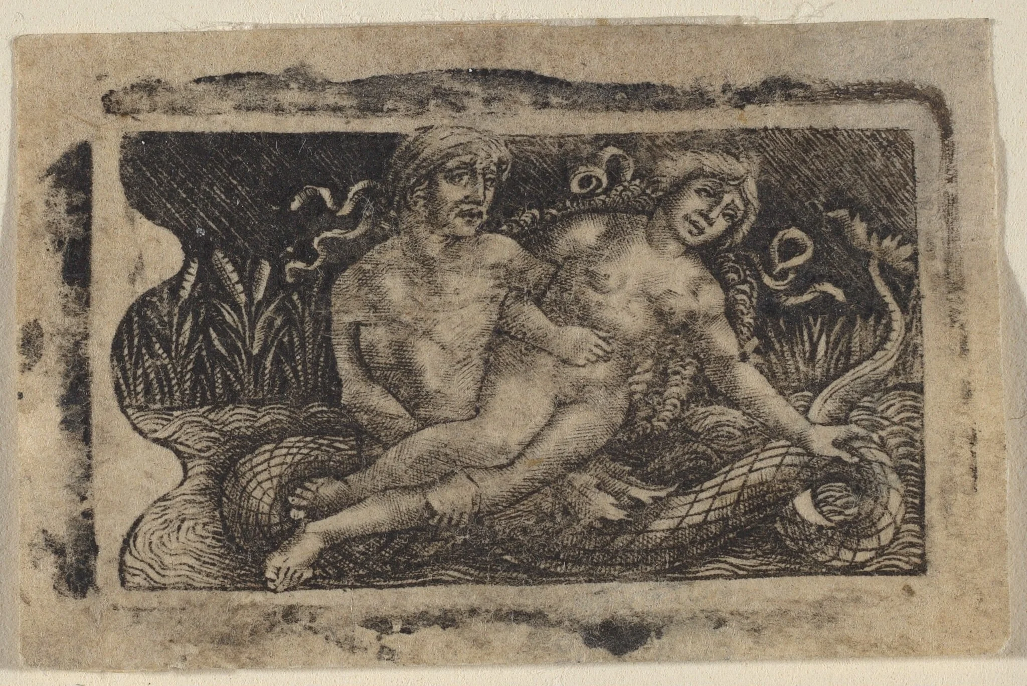 Triton and Nymph, by Francesco Francia, 1500