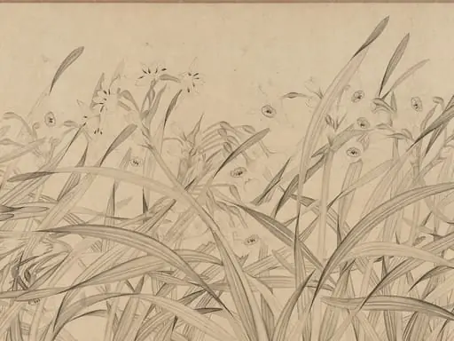 南宋 趙孟堅 水仙圖 卷|Narcissus