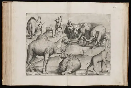 Animals from an Ancient Wall Painting [Plate III]