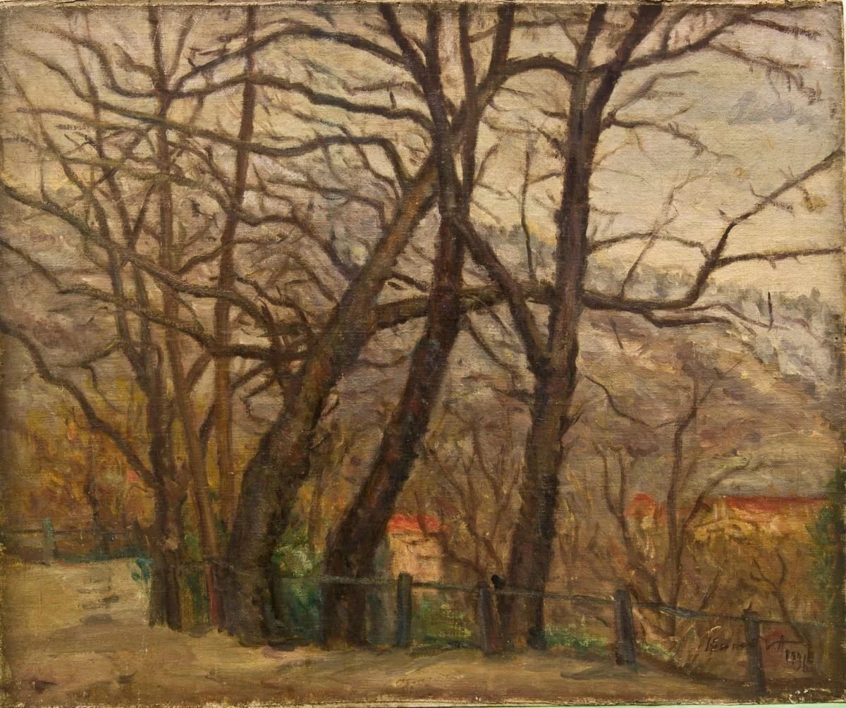 Peisaj din Sighișoara