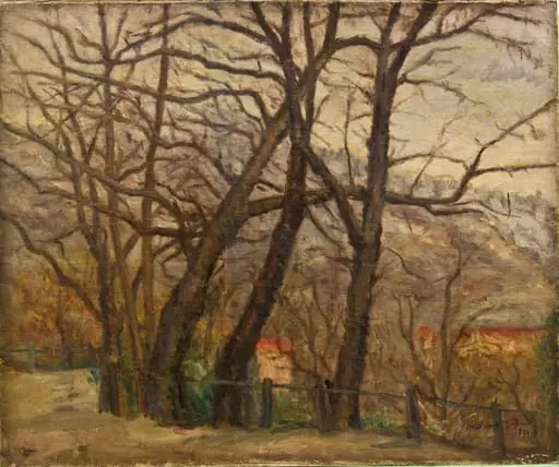 Peisaj din Sighișoara
