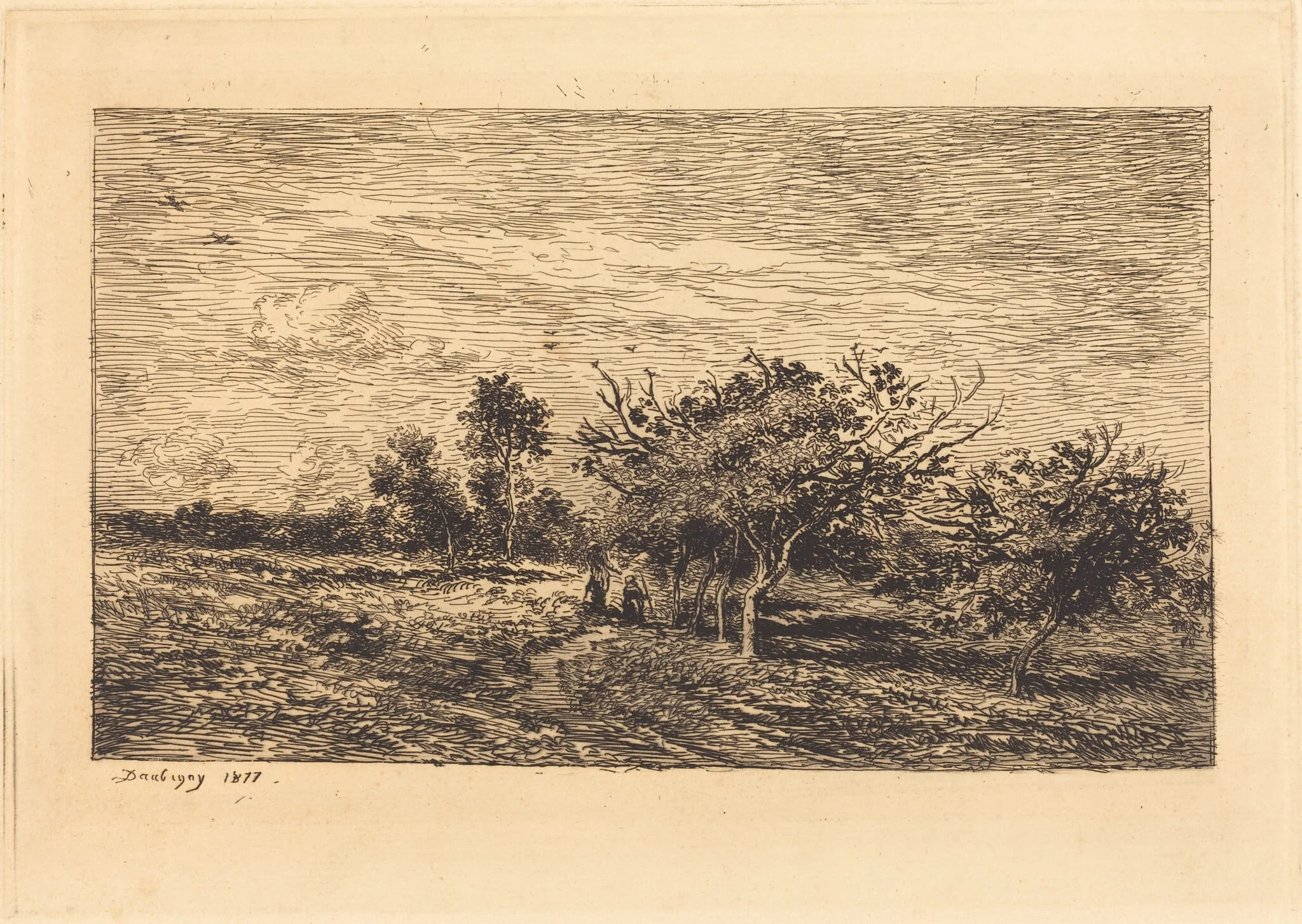 Apple Trees in Auvers (Pommiers a Auvers), by Charles François Daubigny, ink, 1877