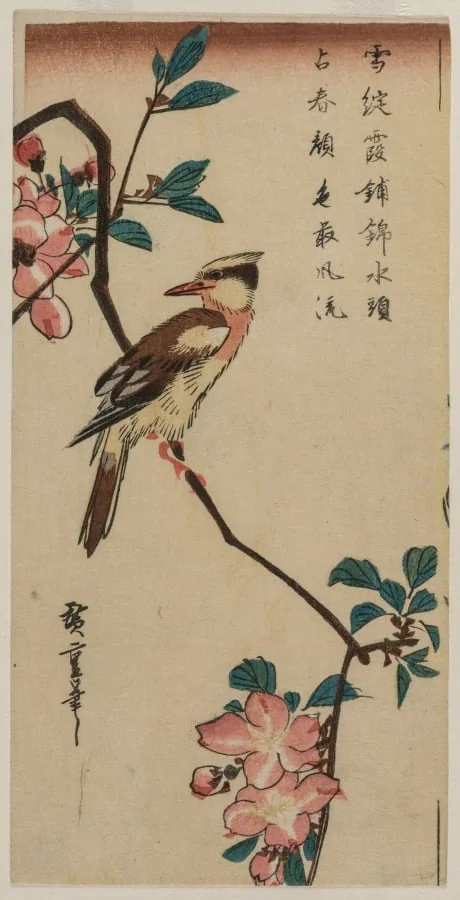 Black-Naped Oriole (Korean Warbler) on a Hall Crabapple, by Utagawa Hiroshige, 1834