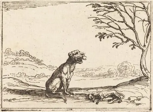 Lioness Mourning her Cub