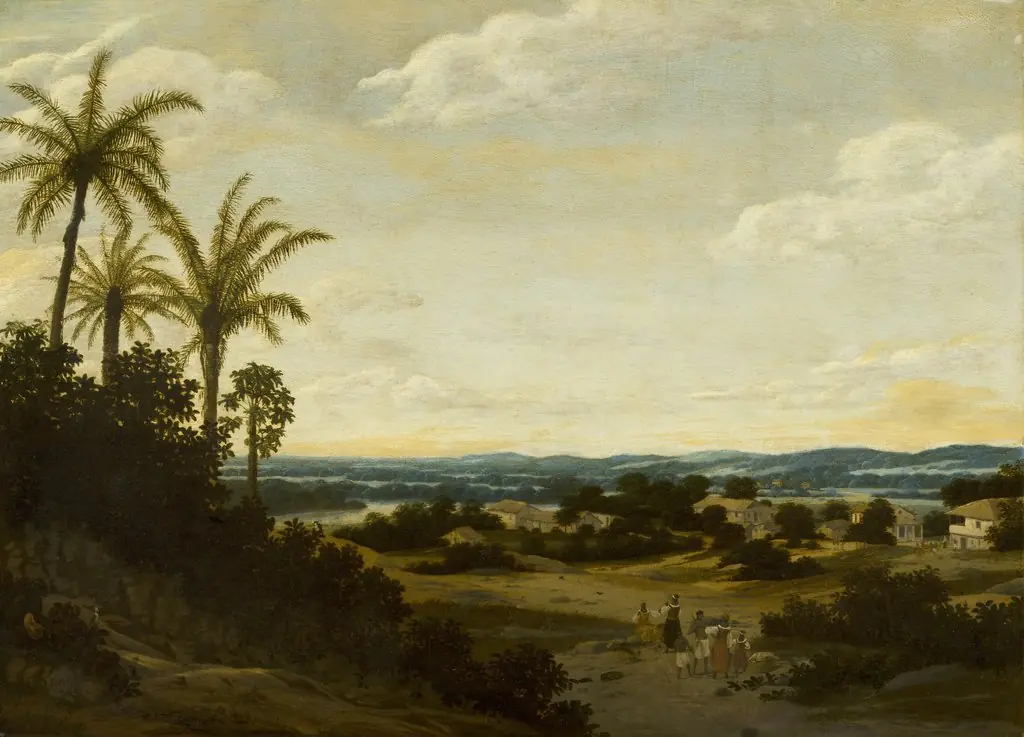 Brasilian Landscape