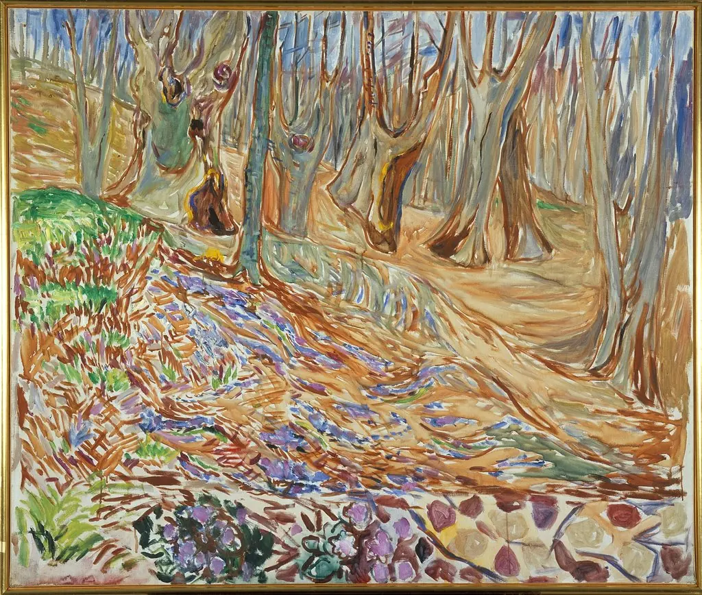 Elm Forest in Spring