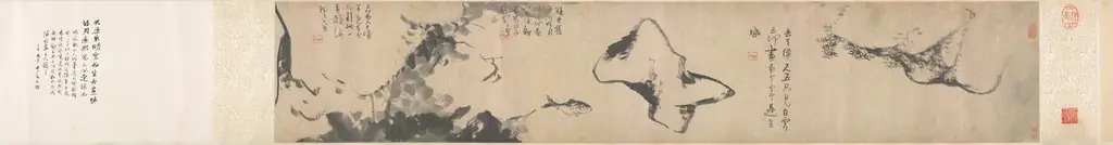 Fish and Rocks