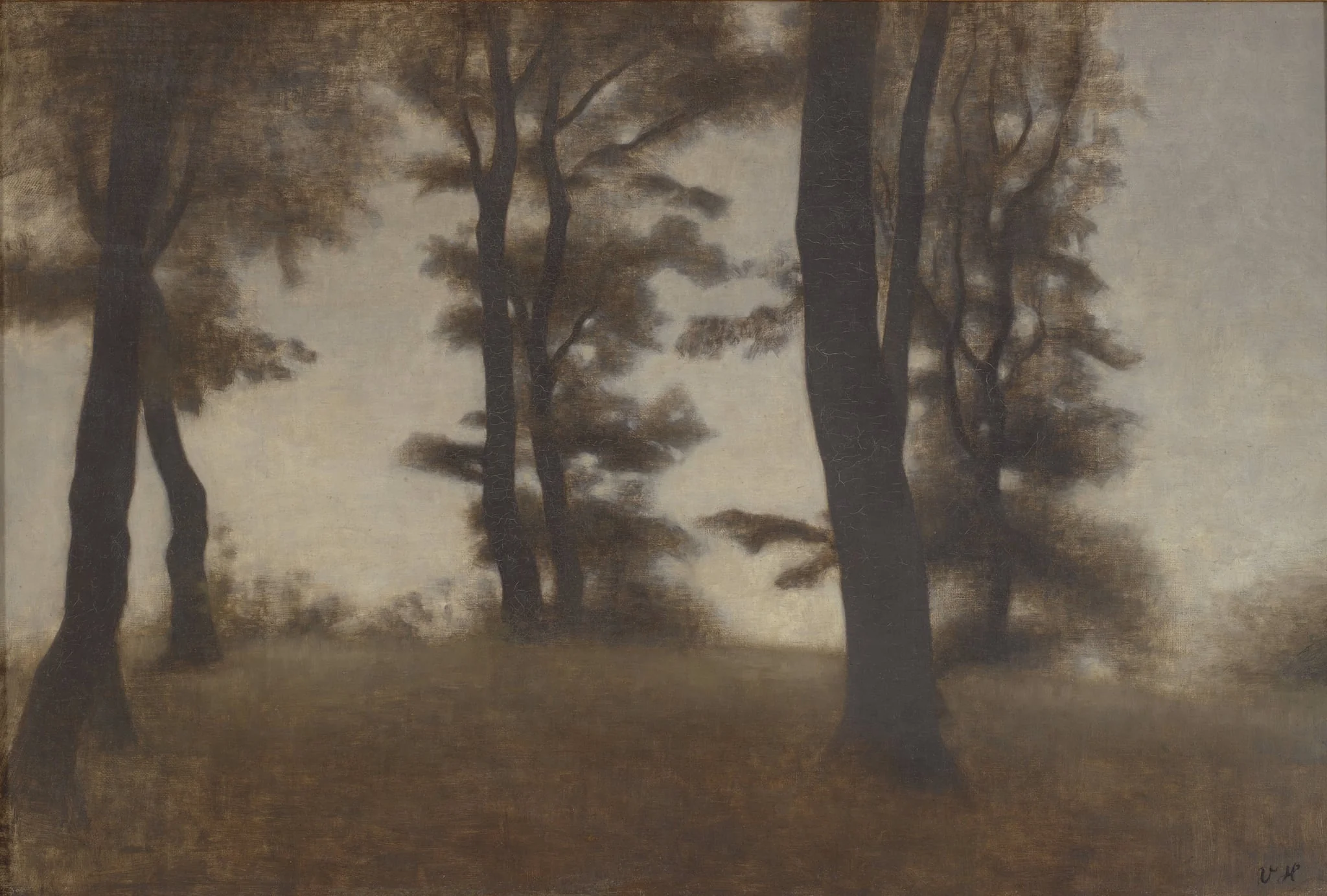 Tree Trunks. Arresødal near Frederiksværk, North Zealand, by Unknown, 1904