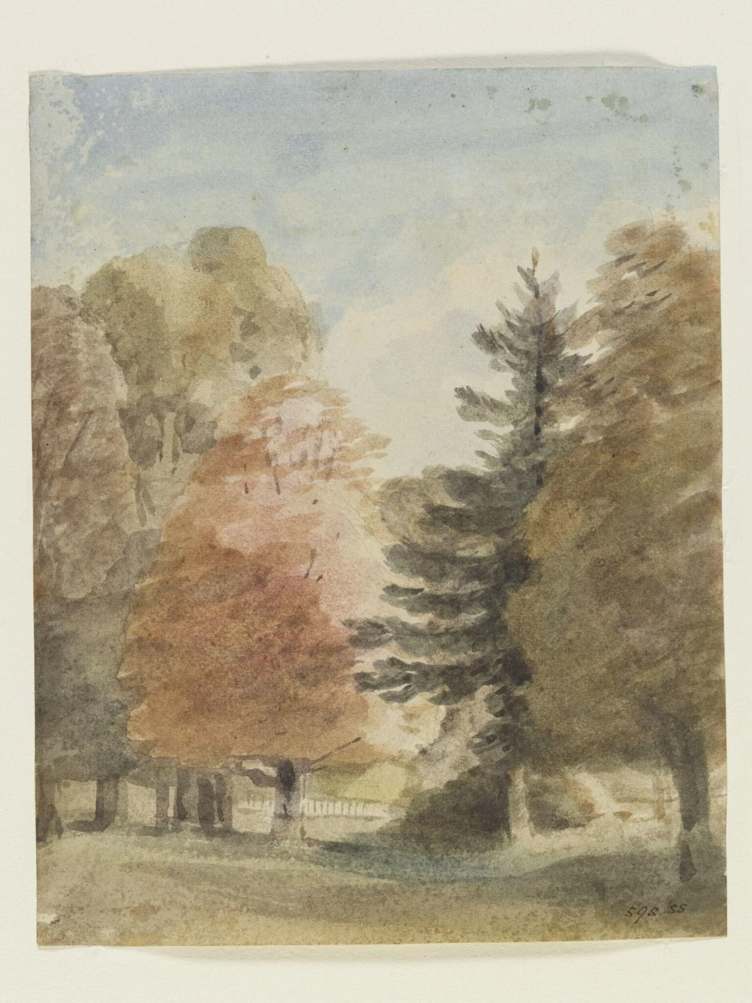 Study of trees in a park, perhaps Helmingham Park