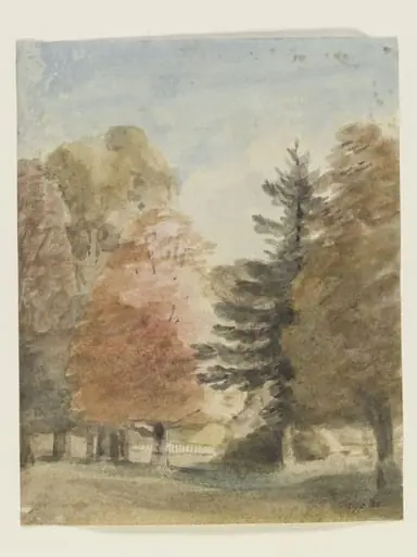 Study of trees in a park, perhaps Helmingham Park