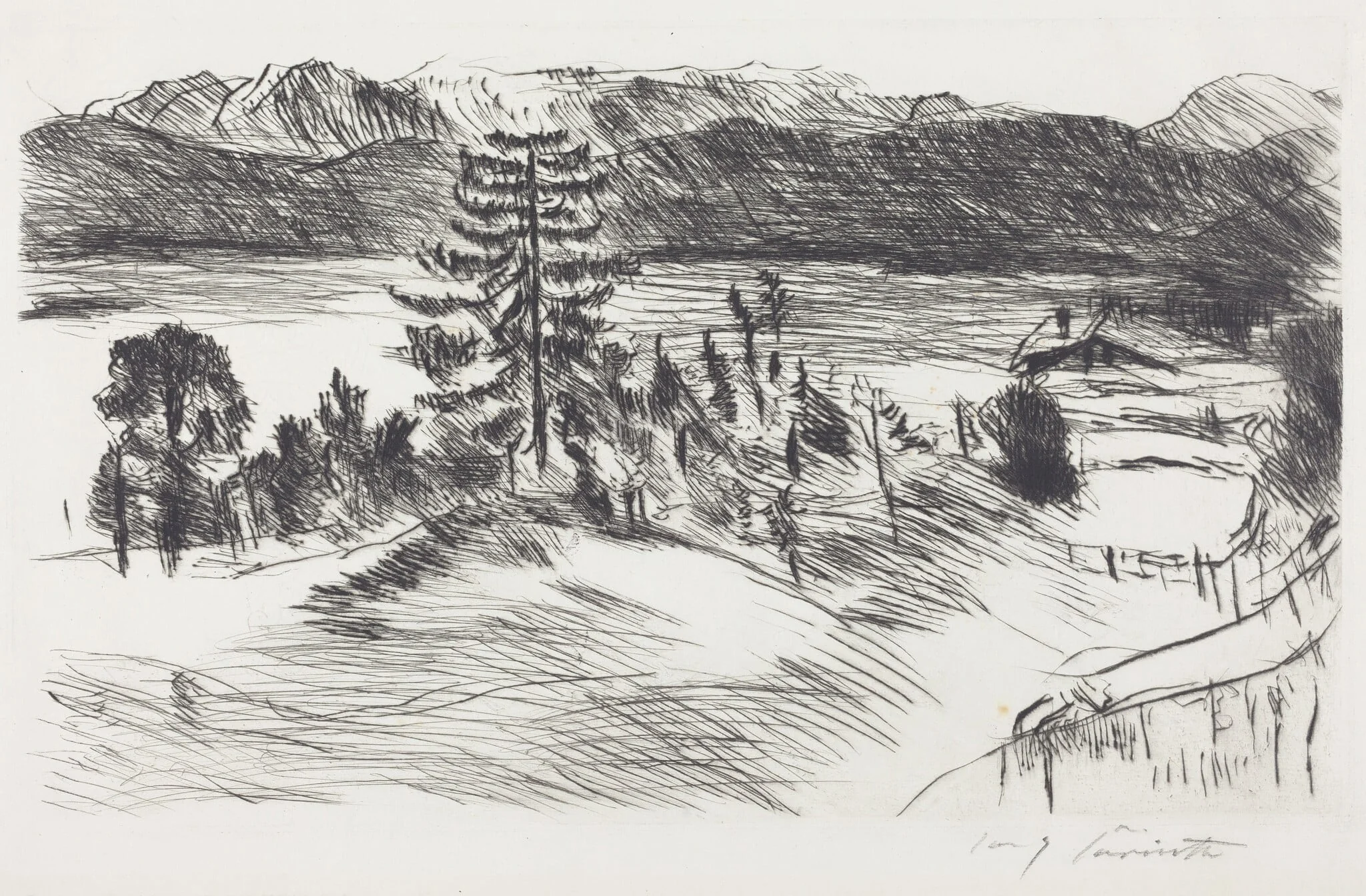 Grosse Walchenseelandschaft (Large Walchen Sea Landscape), by Lovis Corinth, ink, 1923