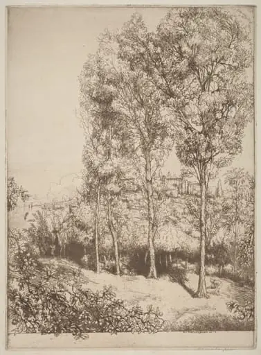 Sunlight and Shadows, No. 3