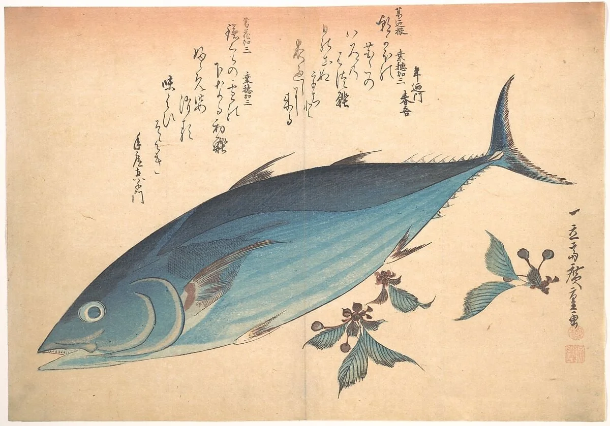 魚づくし　鰹に桜|Katsuo Fish with Cherry Buds, from the series Uozukushi (Every Variety of Fish), by Utagawa Hiroshige, ink, 1834