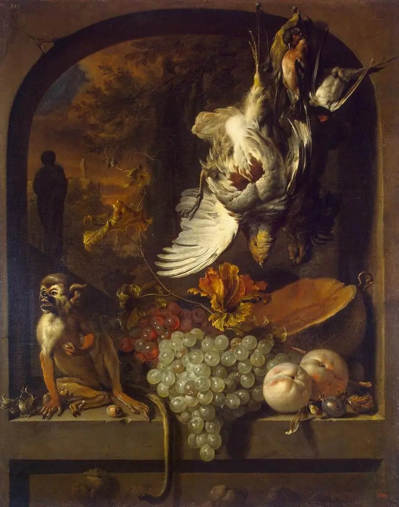 Still Life