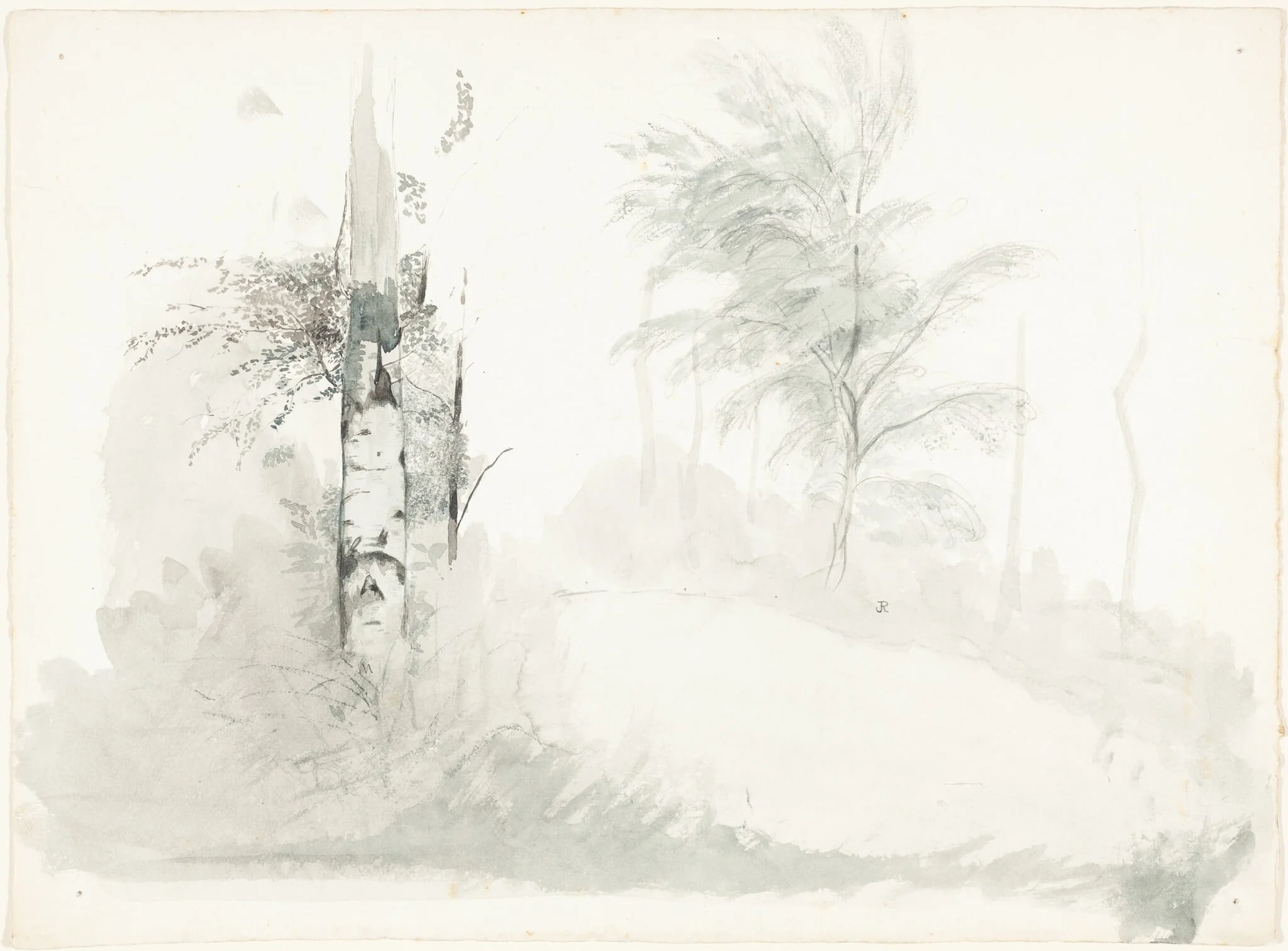 Tree Study