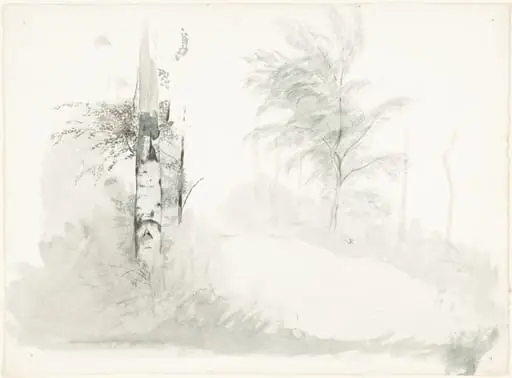 Tree Study
