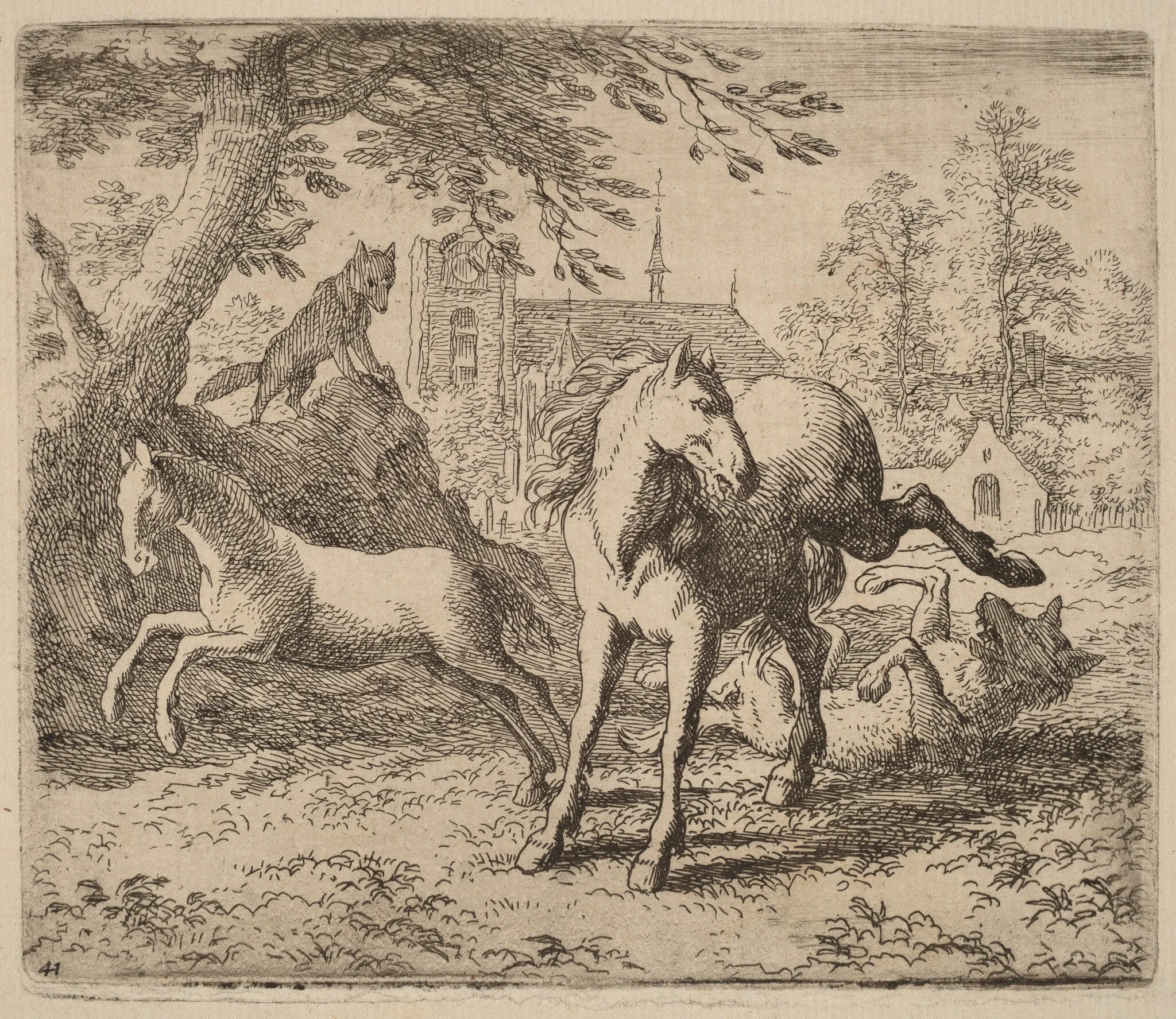 The Mare and the Wolf, by Allart van Everdingen, ink, 1650