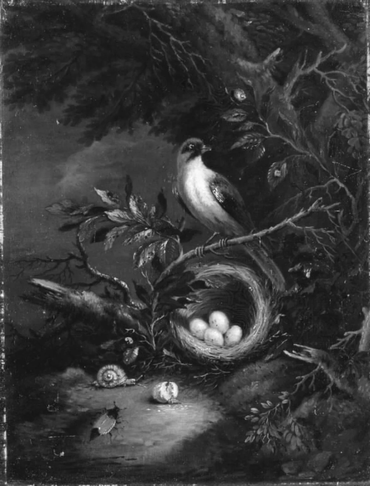 En fugl på sin rede i en skov, by Unknown, unspecified