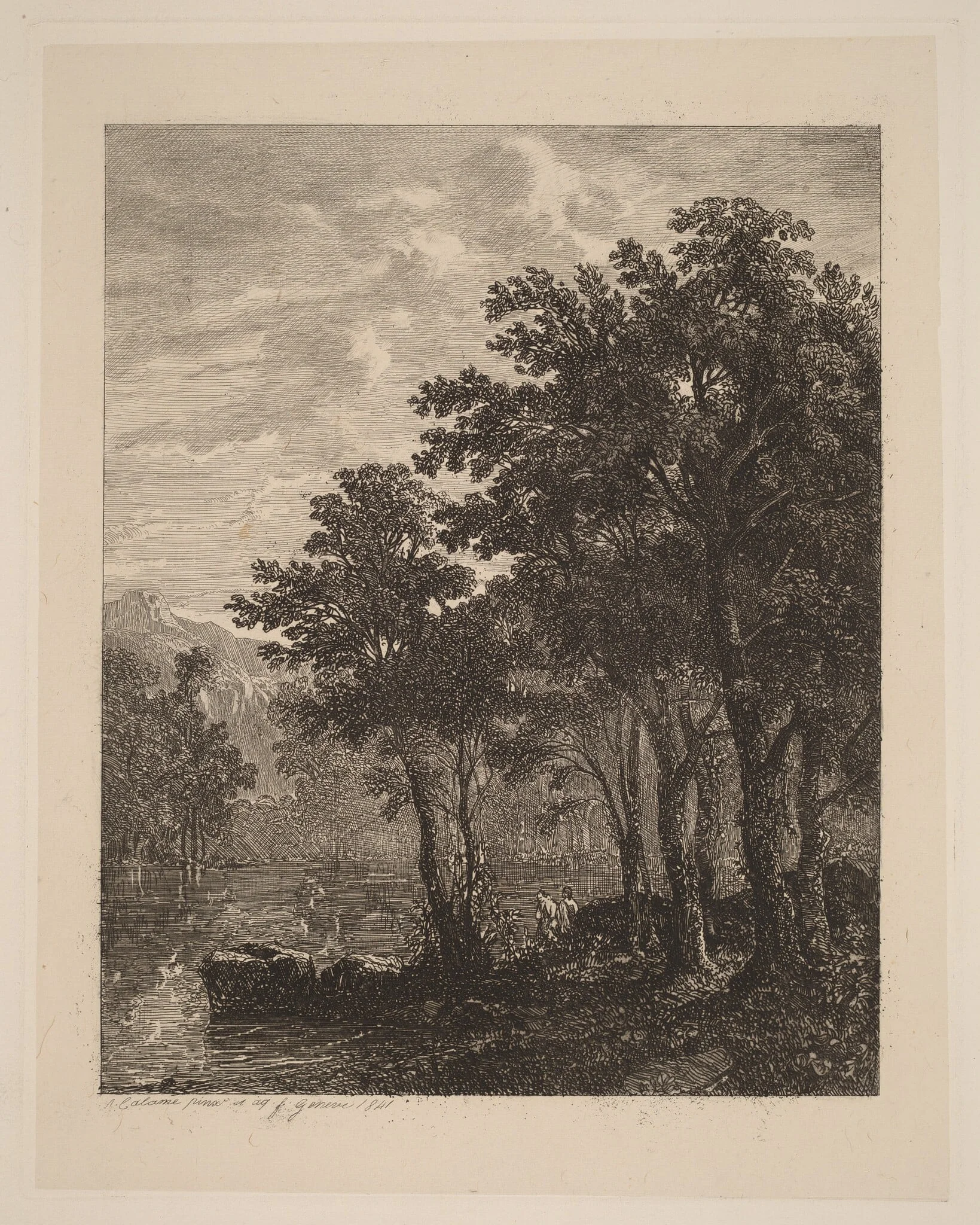 Trees by a River