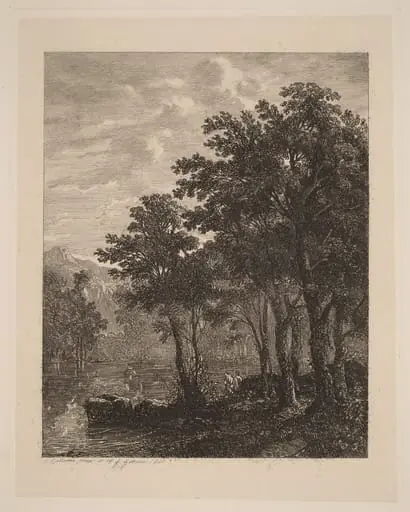 Trees by a River