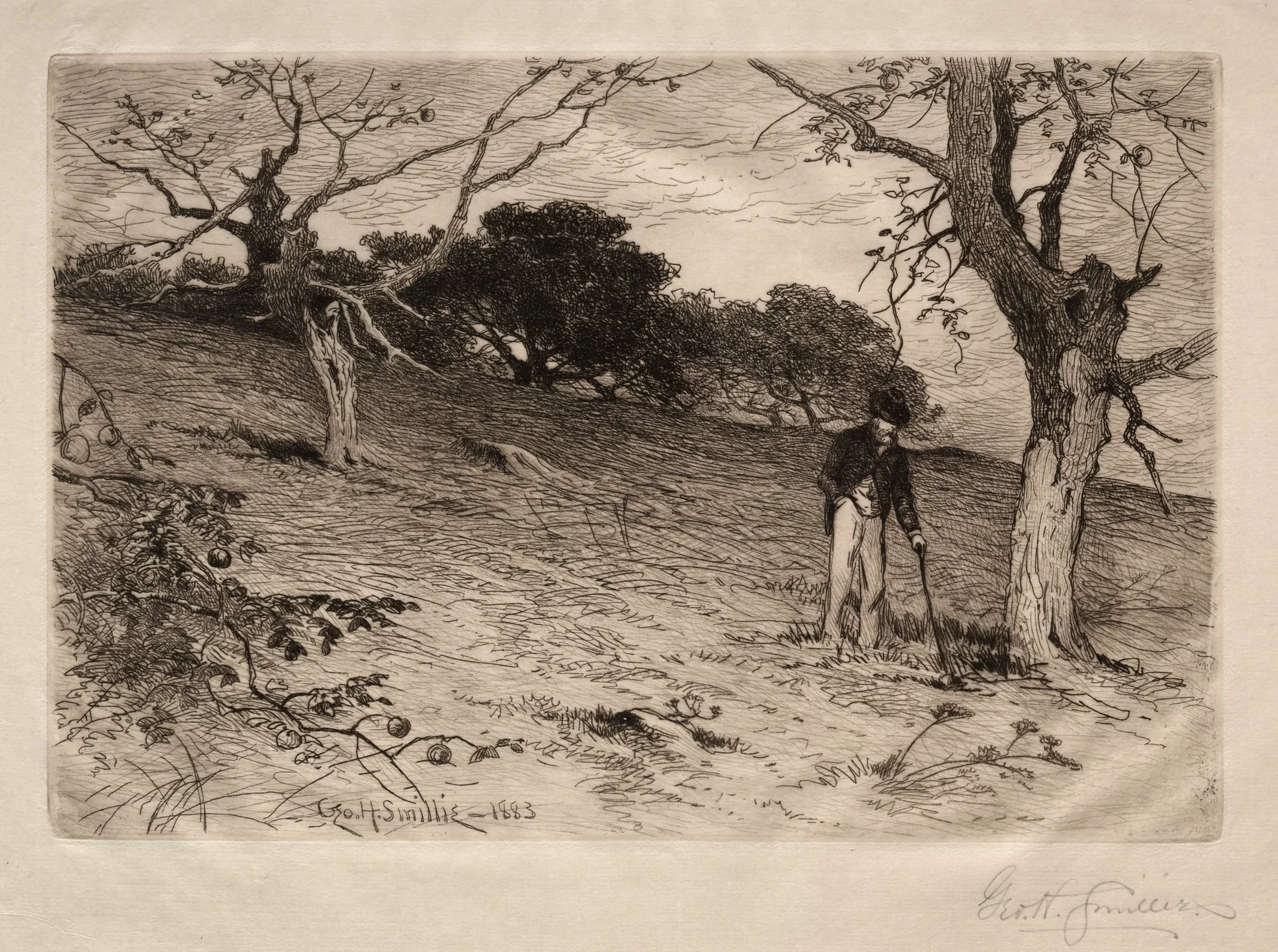 An Old New England Orchard, by George Henry Smillie, 1883