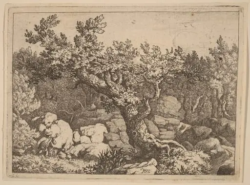 Sportsman near a Large Tree