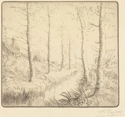 Birch Trees along the Water (Les bouleaux: Bord de l'eau)