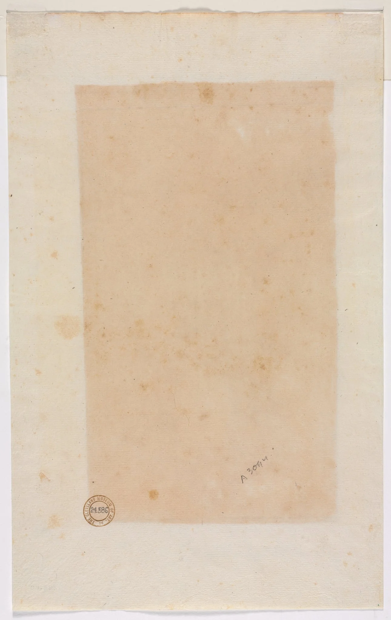 Border Lines (verso)