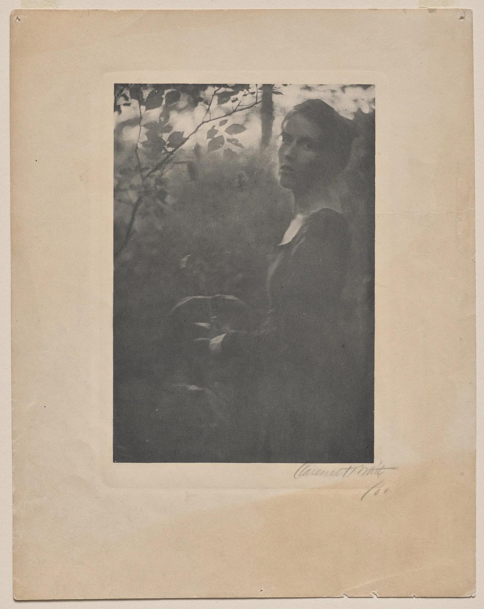 The Edge of the Wood - Evening (Letitia Felix), by Clarence H. White, 1900