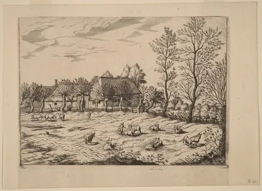Farm