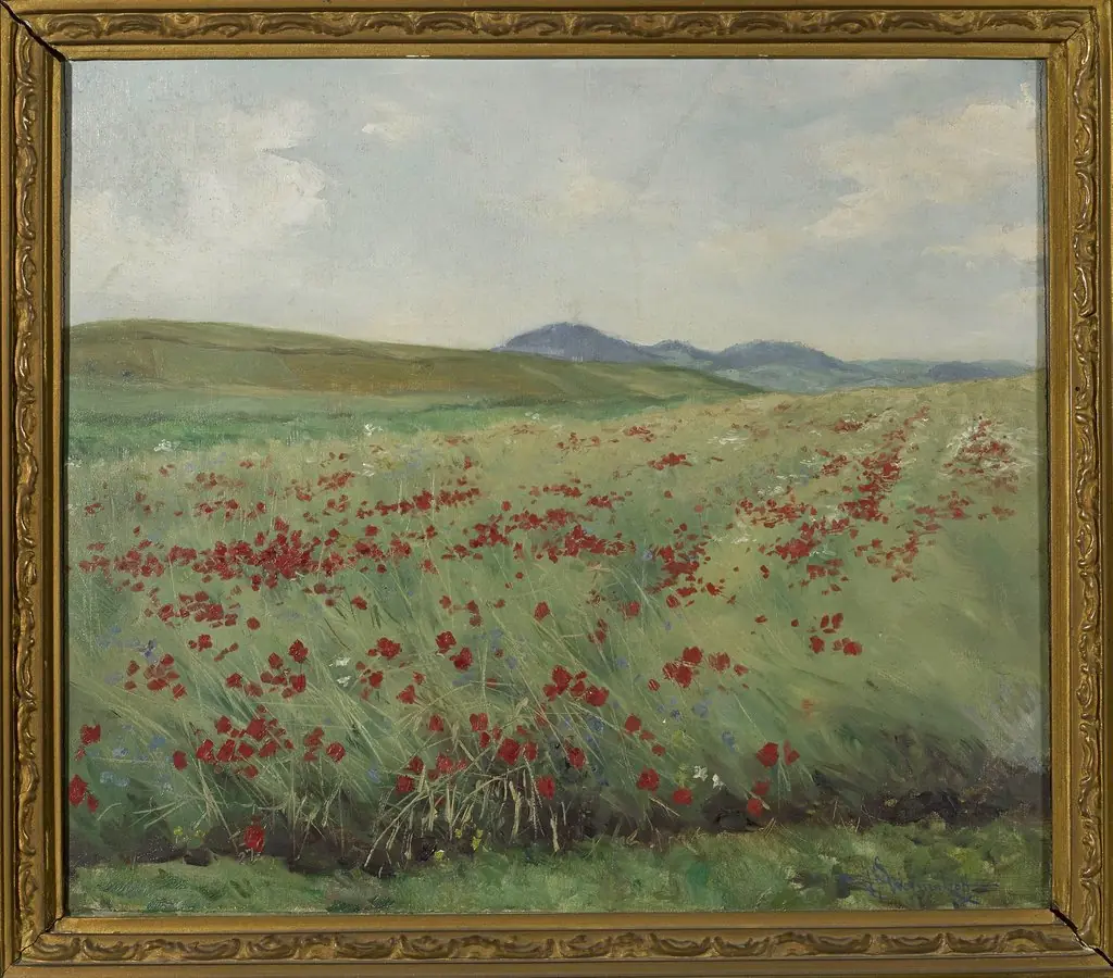Field of poppies