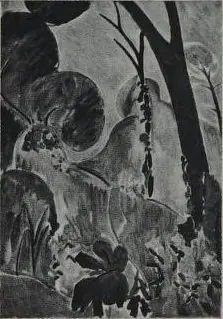 Periwinkles