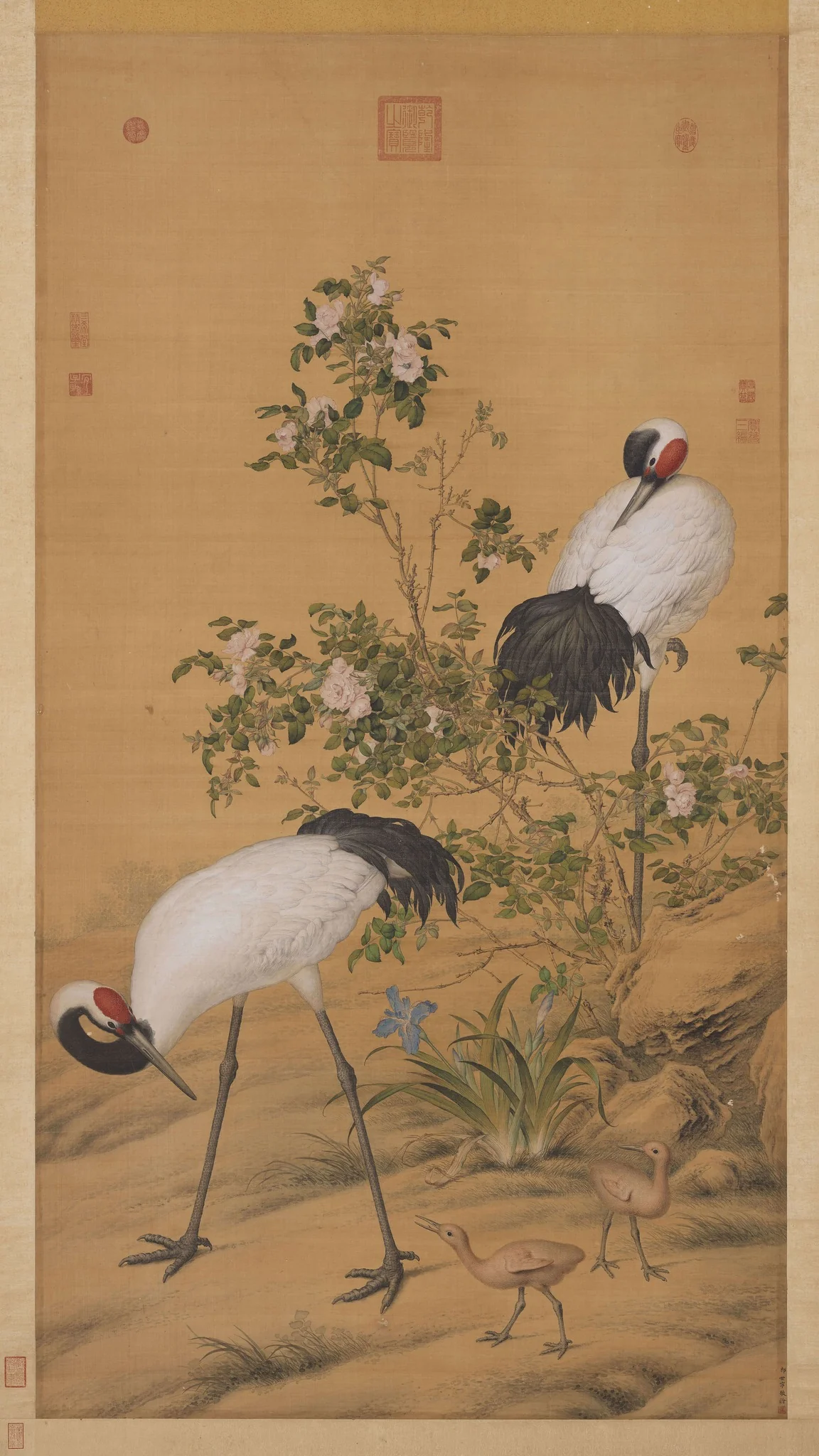 Pair of Cranes in the Shade of Flowers, by Giuseppe Castiglione, unspecified, 1737