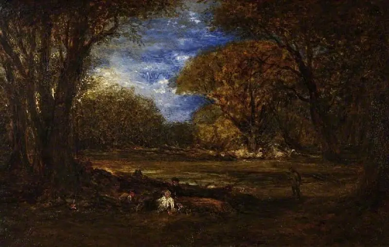 Autumn woods